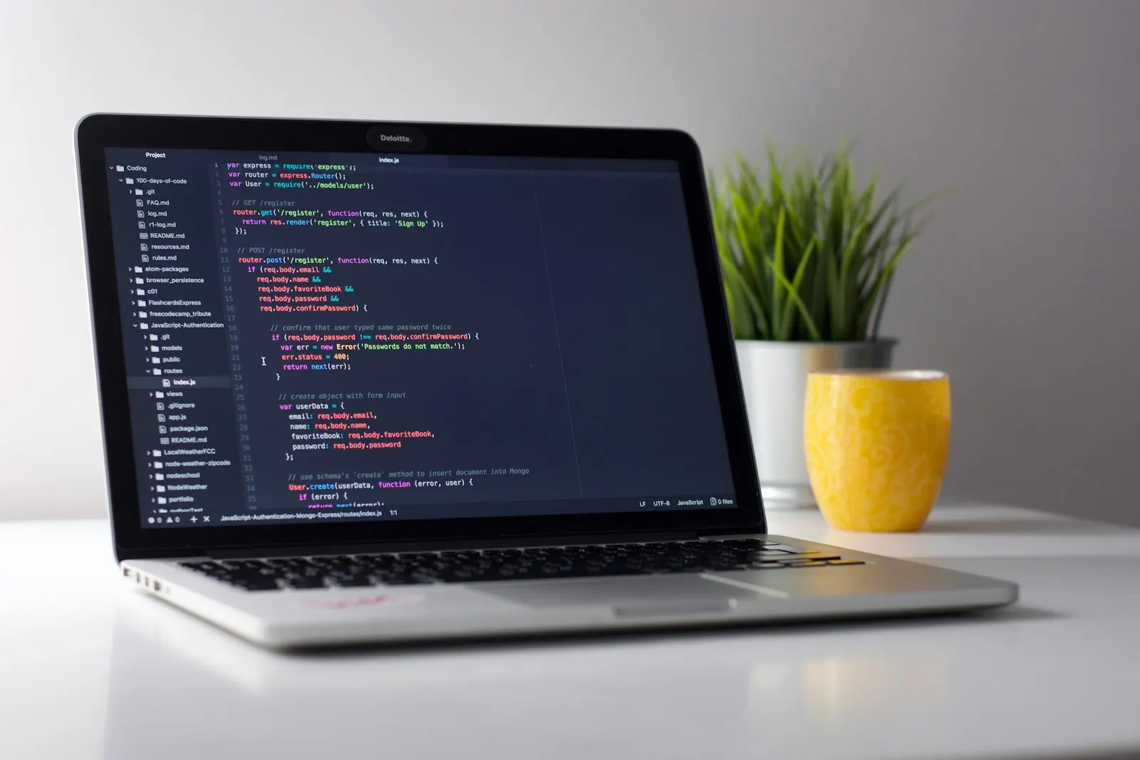 Development and customization in Dynamics 365 and Power Platform